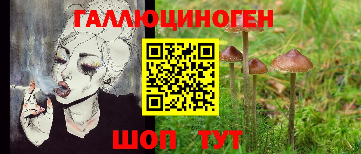 Ковров  Псилоцибиновые грибы мицелий  Вход с VPN 
